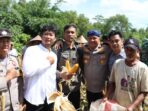 Kemajuan program ketahanan pangan nasional penanaman jagung melalui Polres Serang melampaui target Kemajuan program ketahanan pangan nasional penanaman jagung melalui Polres Serang melampaui target