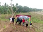 Polres Pandeglang Dukung Swasembada Pangan 2025: Penanaman Jagung di Desa Mekarsari