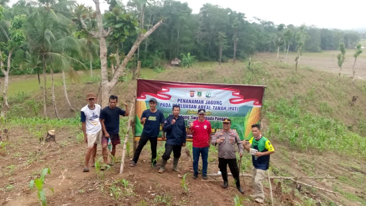 Polres Pandeglang Dukung Swasembada Pangan 2025: Penanaman Jagung di Desa Mekarsari