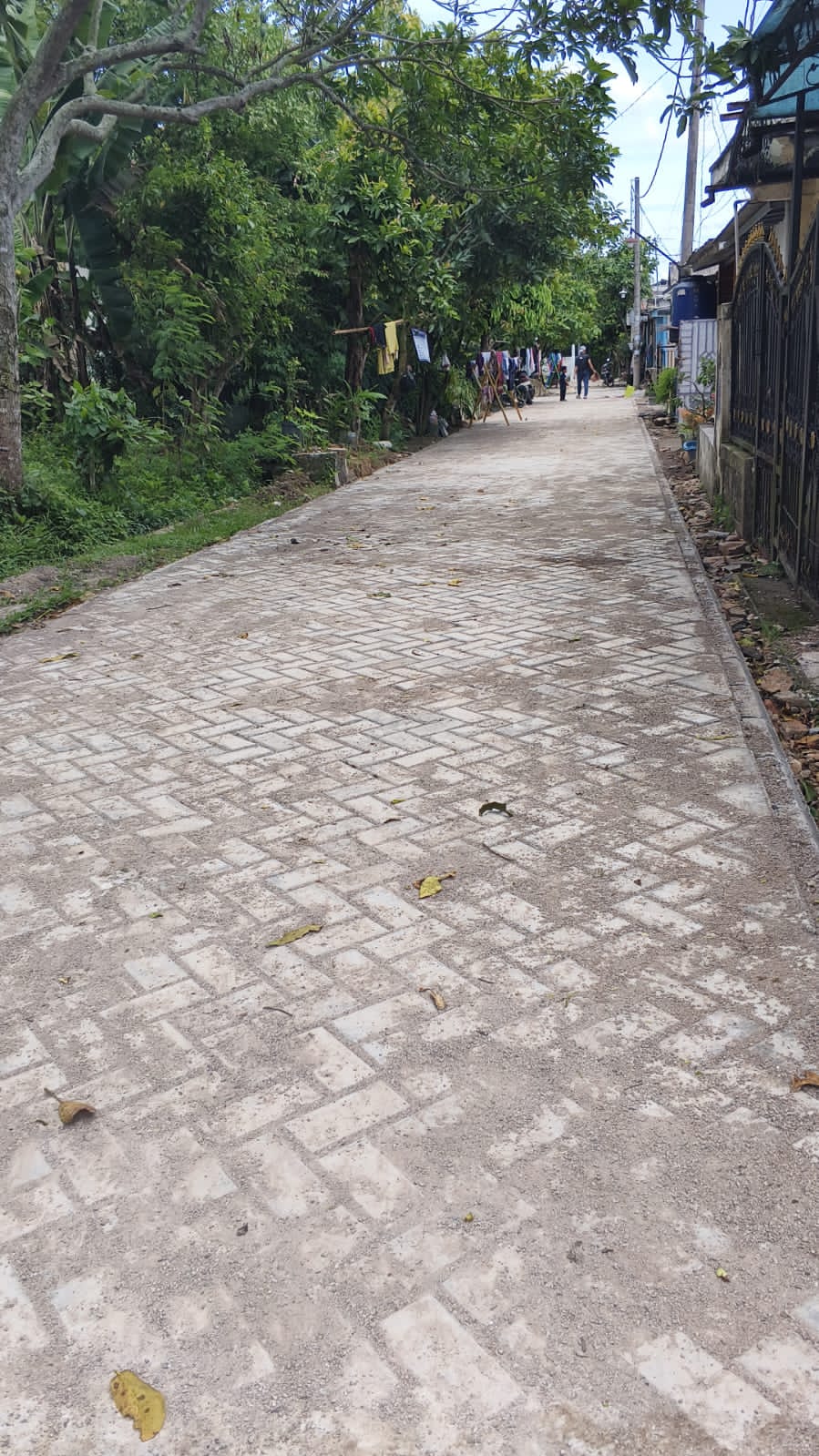 Diduga Proyek Siluman Tanpa Papan Informasi, Gunakan Material Paving Block Kwalitas Rendah di Kecamatan Cisoka Diduga Proyek Siluman Tanpa Papan Informasi, Gunakan Material Paving Block Kwalitas Rendah di Kecamatan Cisoka